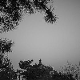 国产汽车再度亮相《极限竞速：地平线5》 两款名爵汽车极速来袭